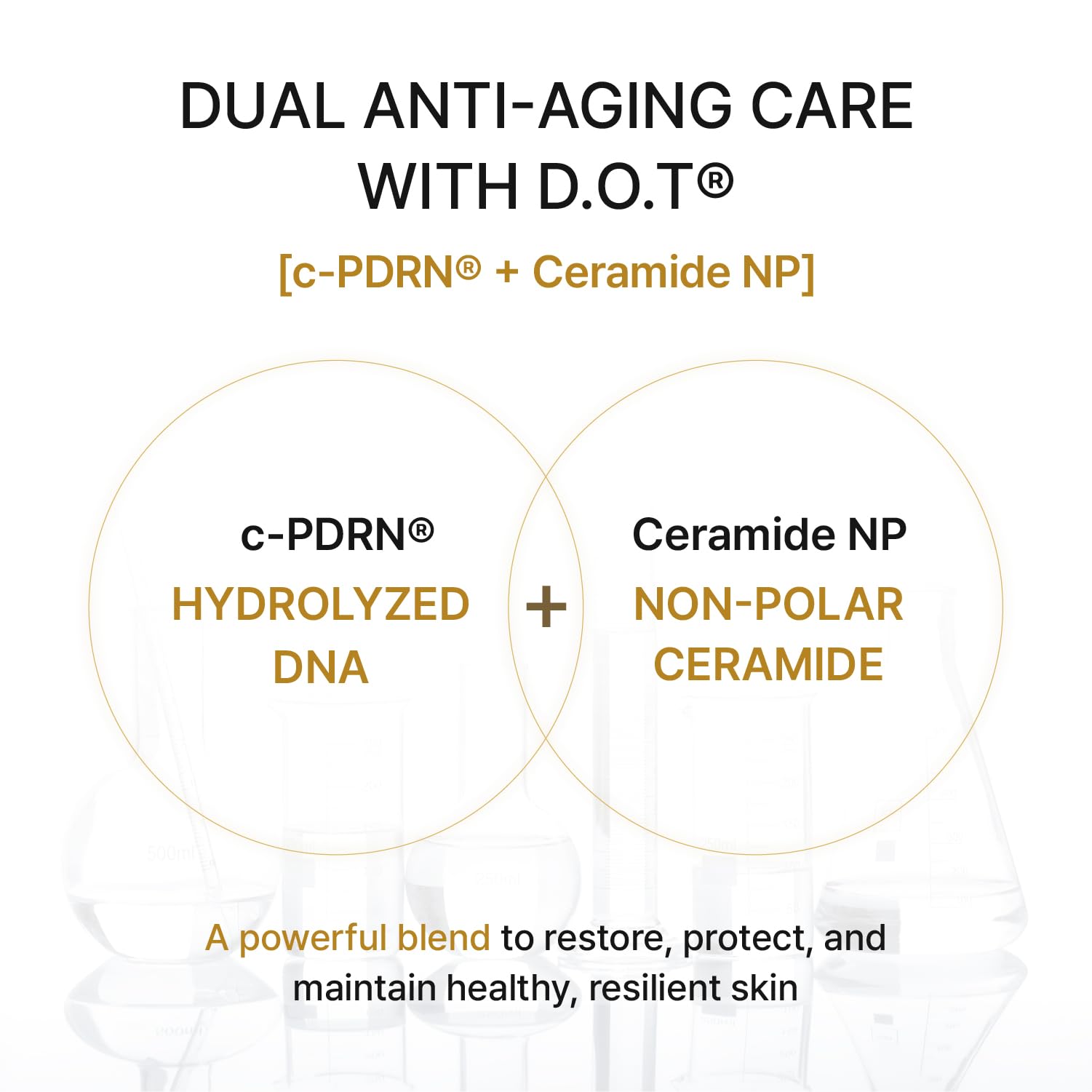 REJURAN® Turnover Ampoule Korean Skin Care