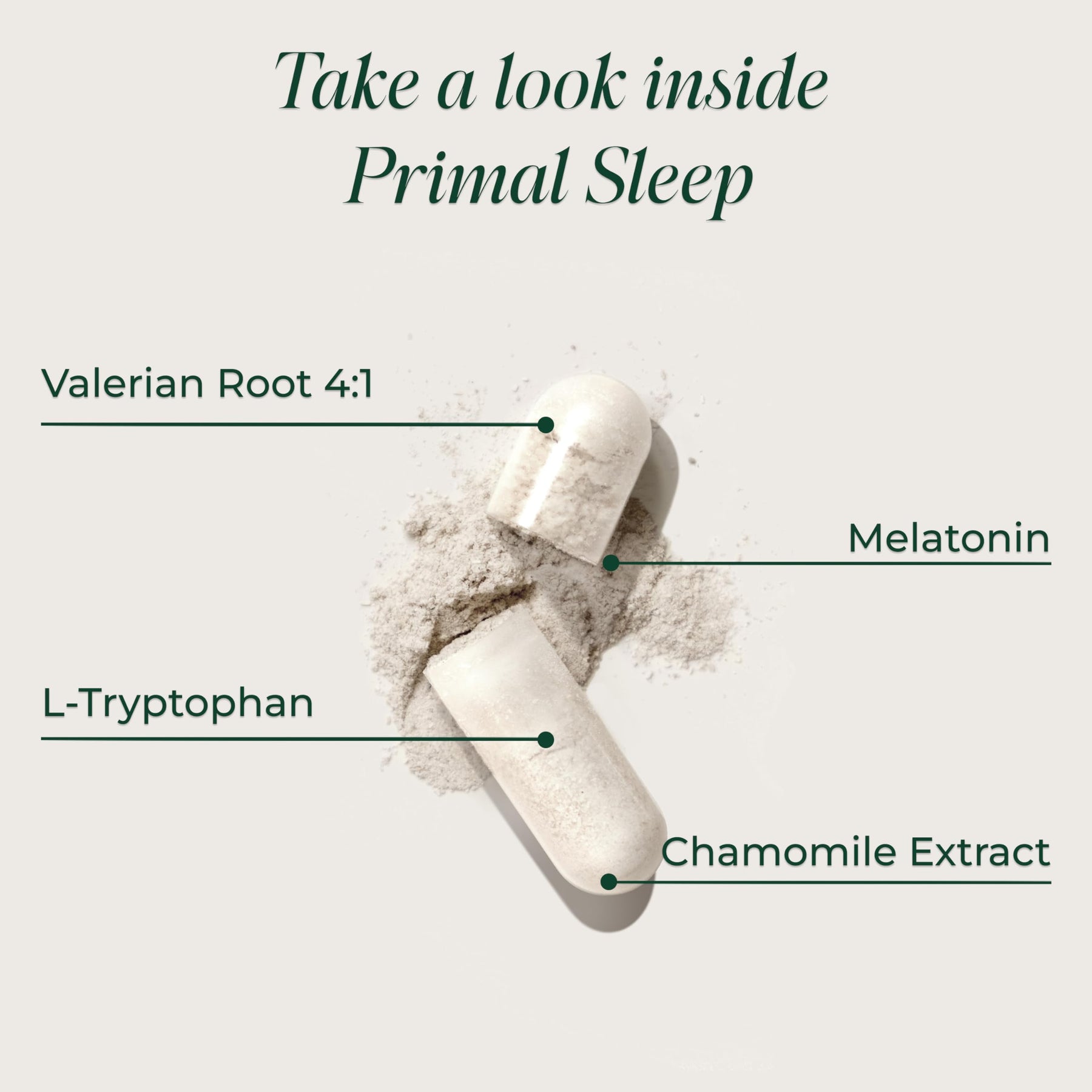 Sleep Support Supplement