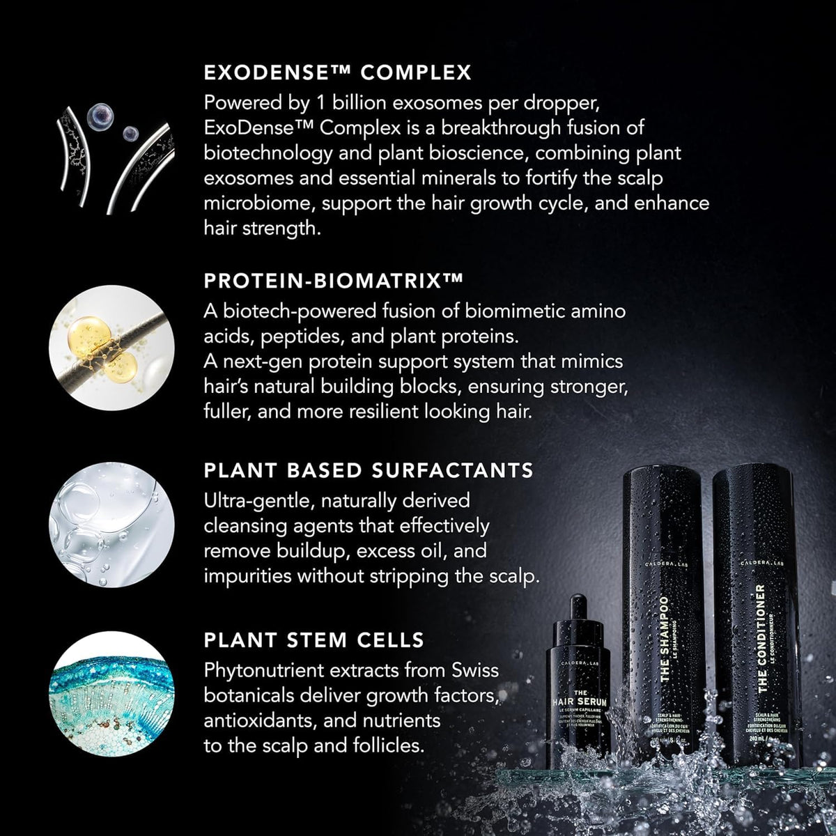Caldera + Lab Routine Collection