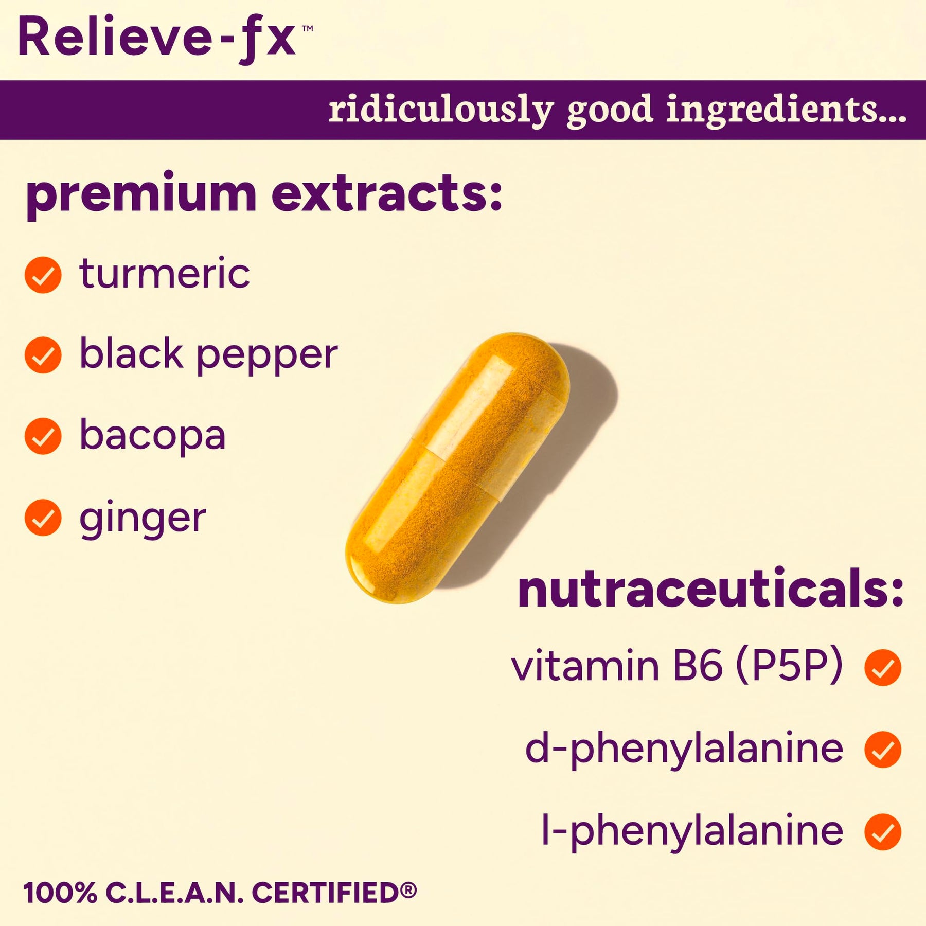 Turmeric Boswellia Joint Support