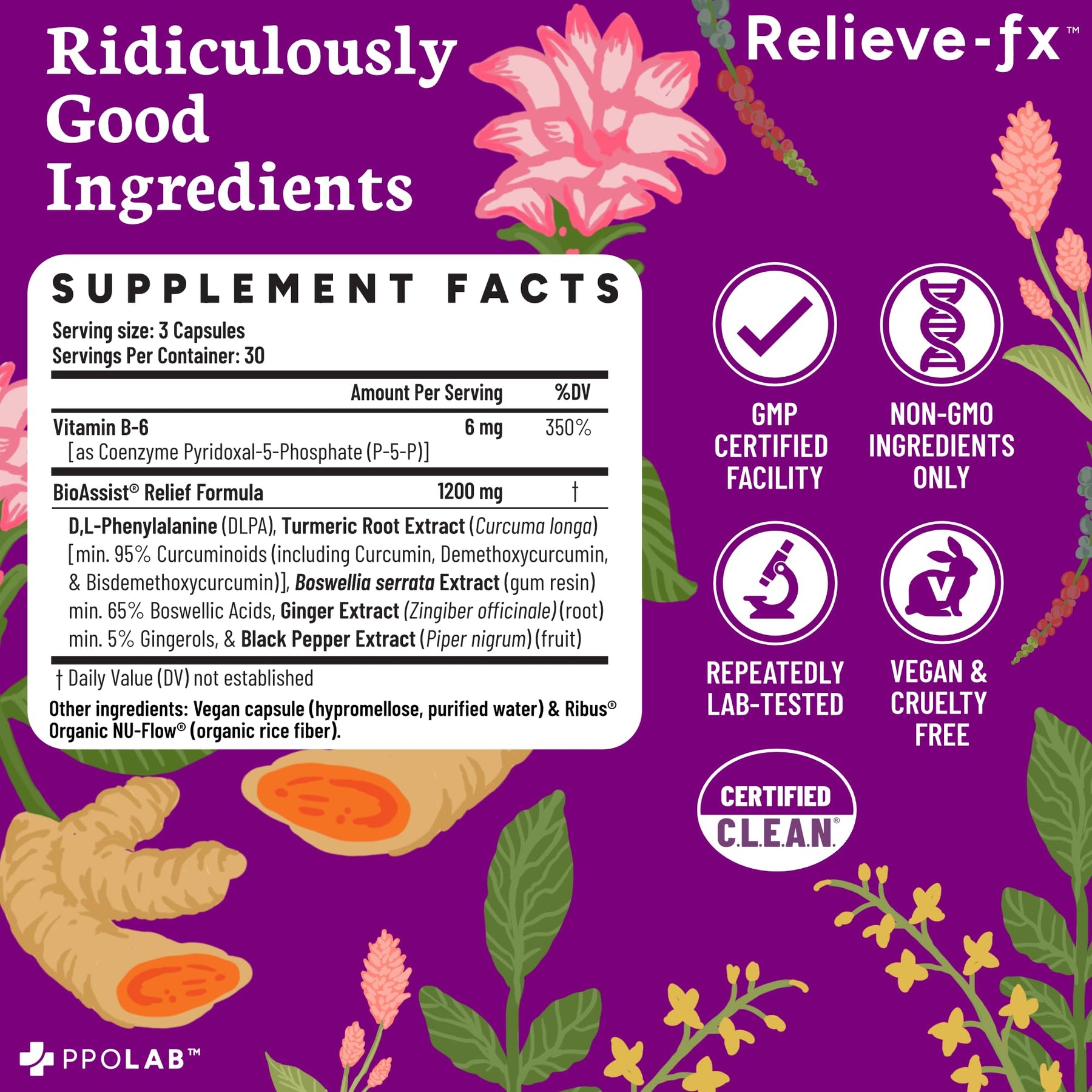 Turmeric Boswellia Joint Support