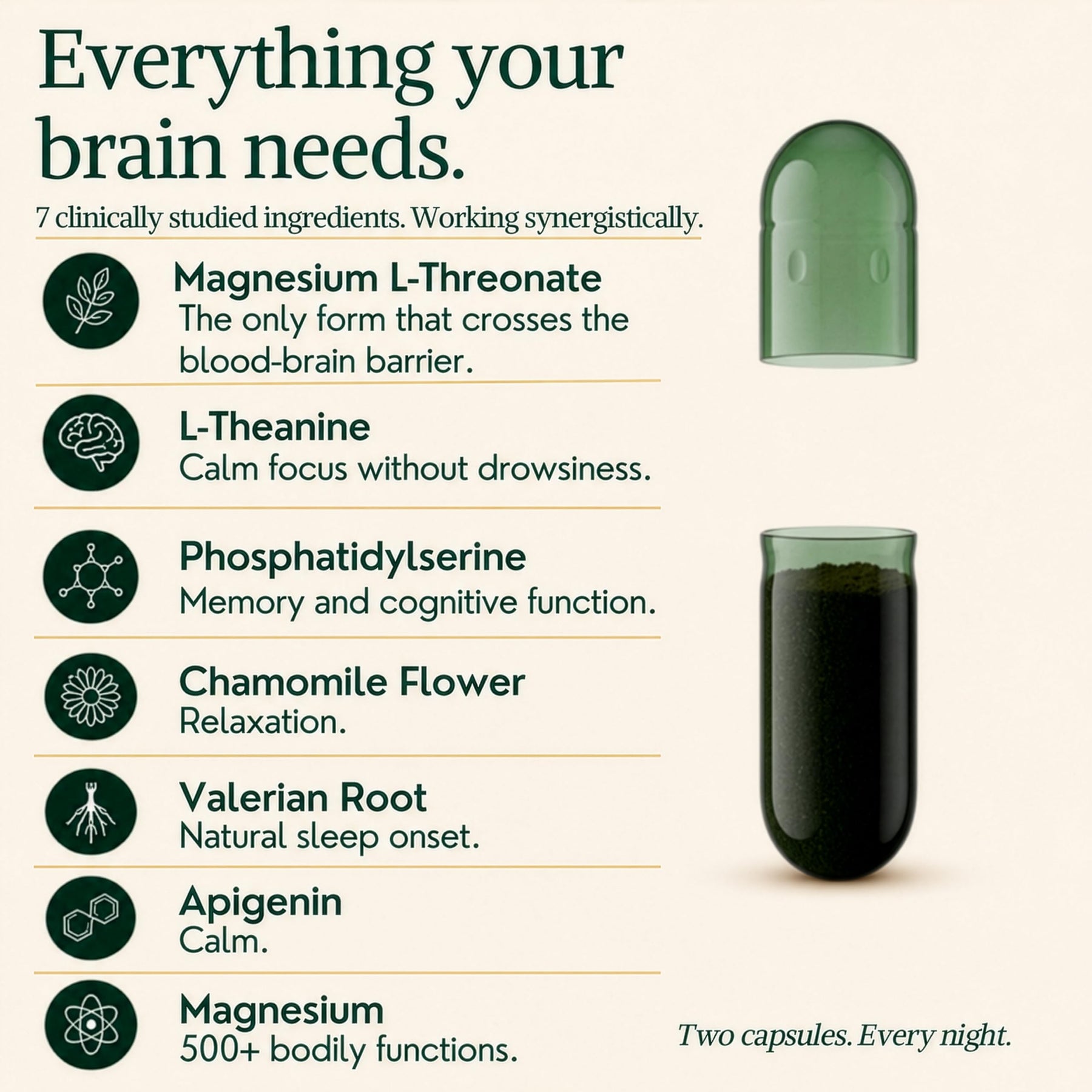 Magnesium Sleep & Brain Support