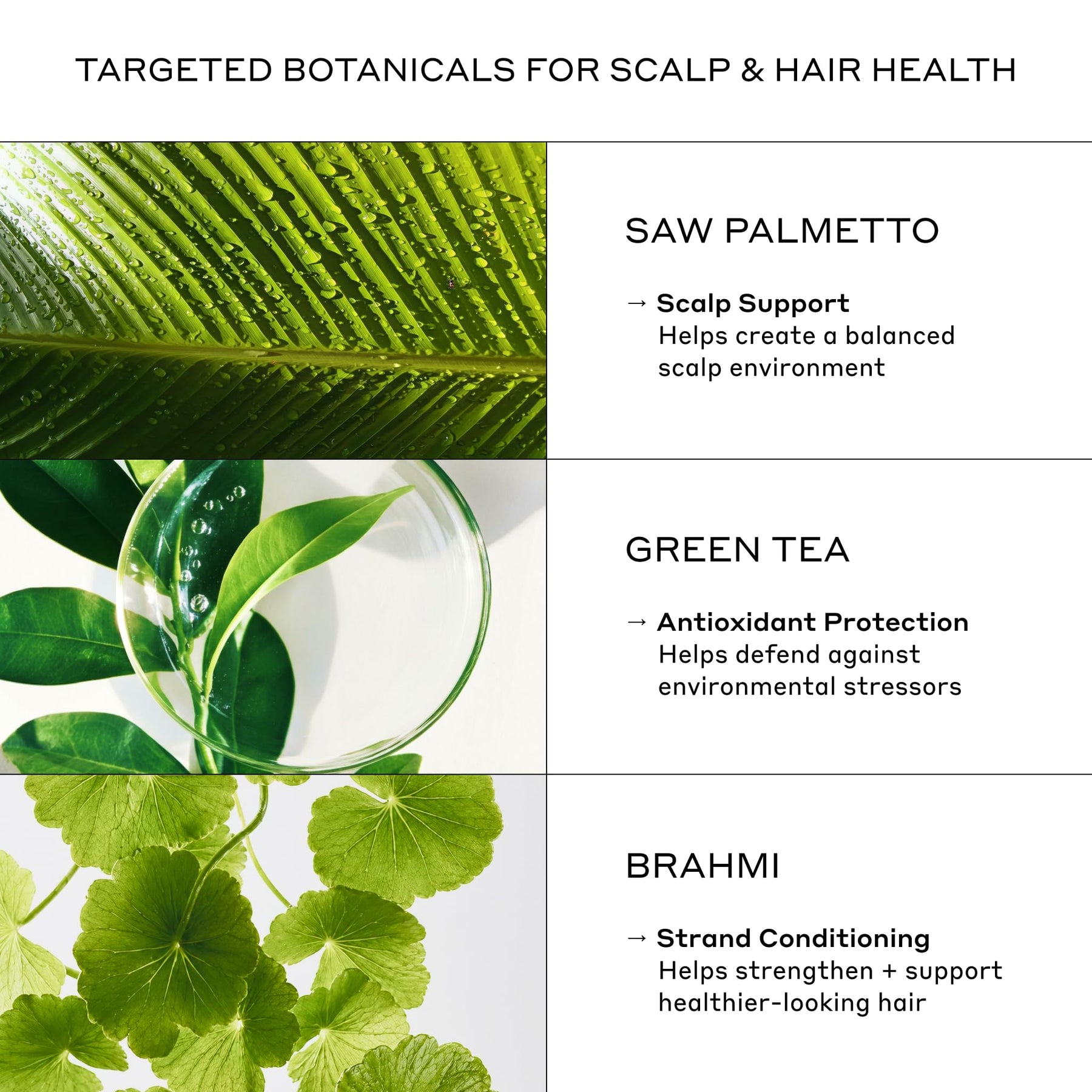 Men's Thickening Shampoo