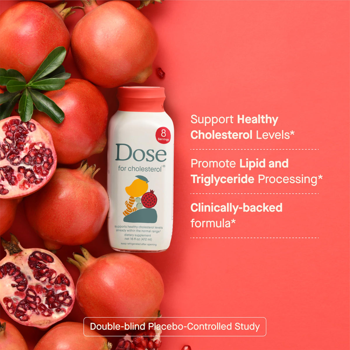 Cholesterol Support Supplement